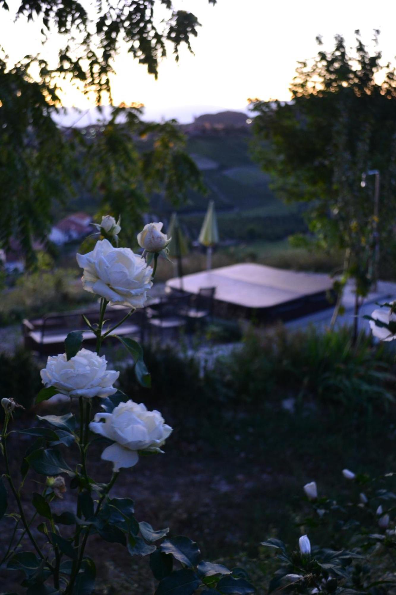 Hostal Il Grillo Parlante Monforte dʼAlba Exterior foto