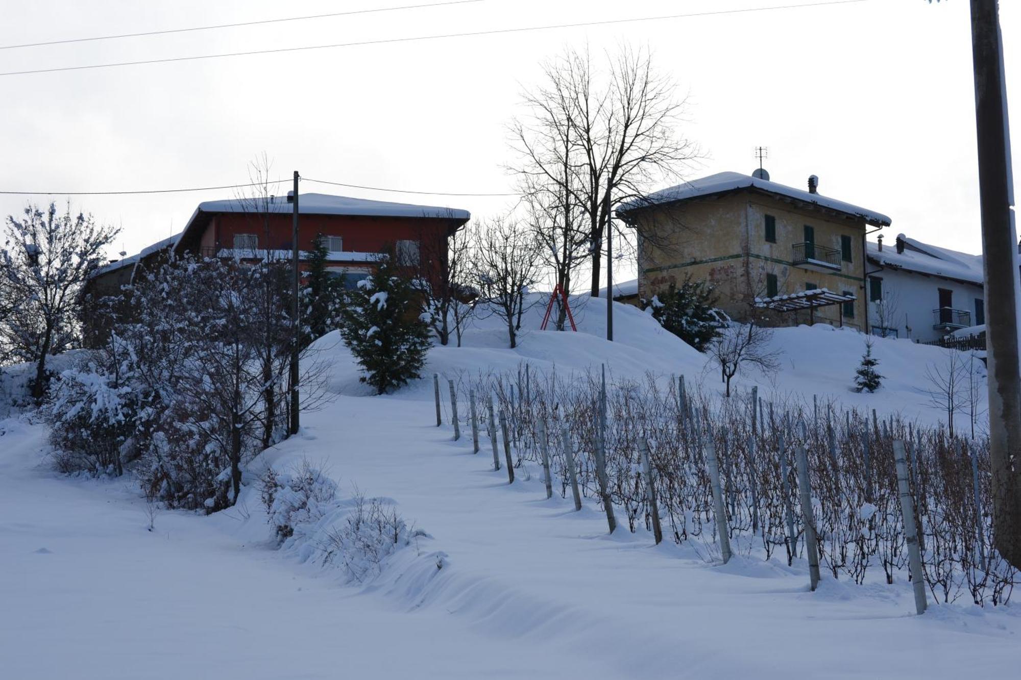 Hostal Il Grillo Parlante Monforte dʼAlba Exterior foto