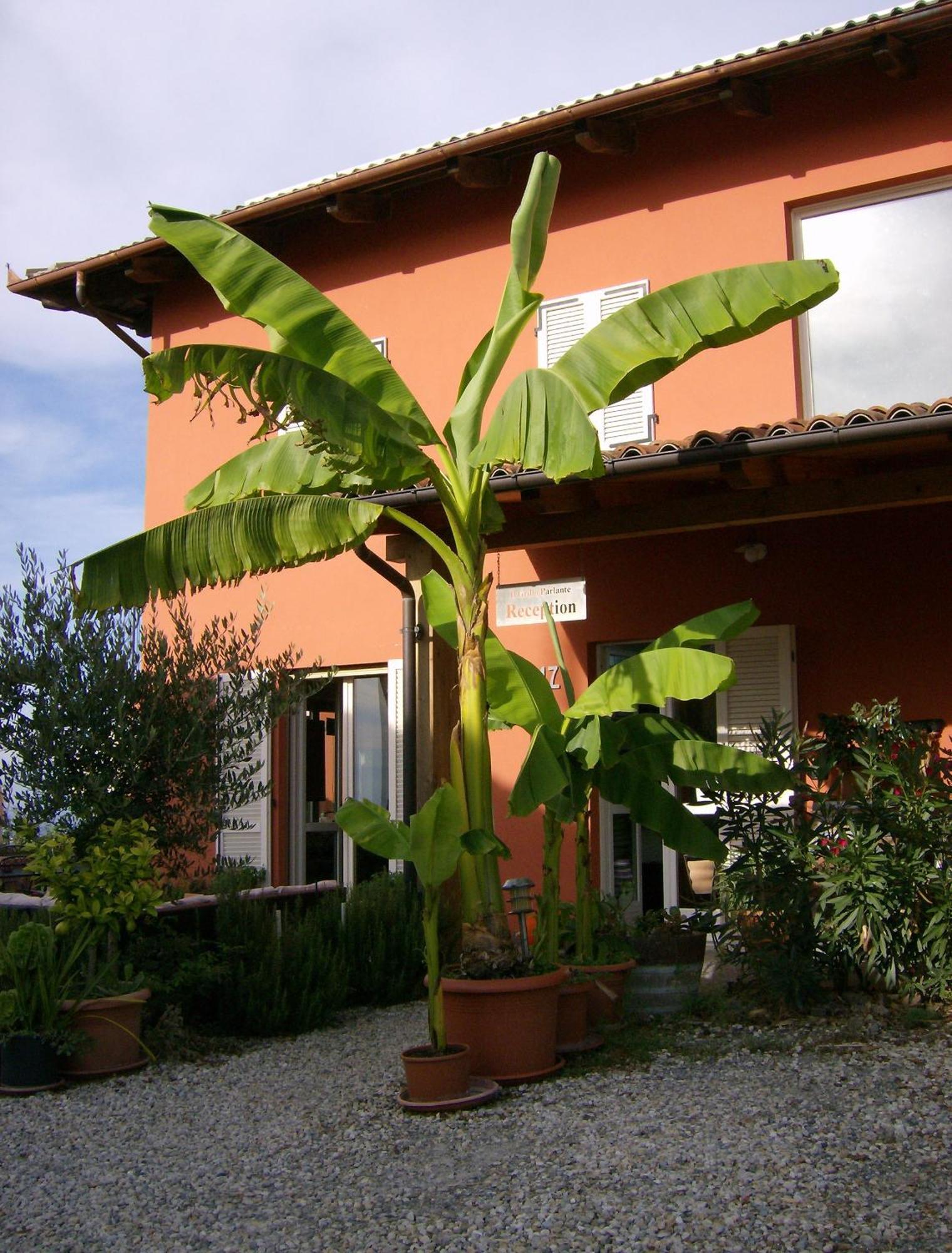 Hostal Il Grillo Parlante Monforte dʼAlba Exterior foto