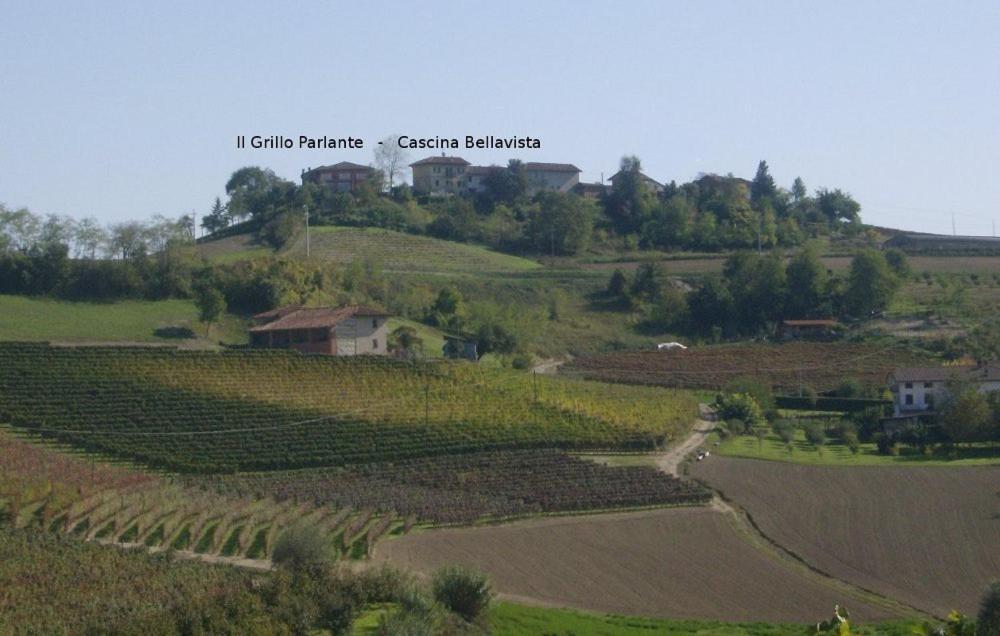 Hostal Il Grillo Parlante Monforte dʼAlba Exterior foto